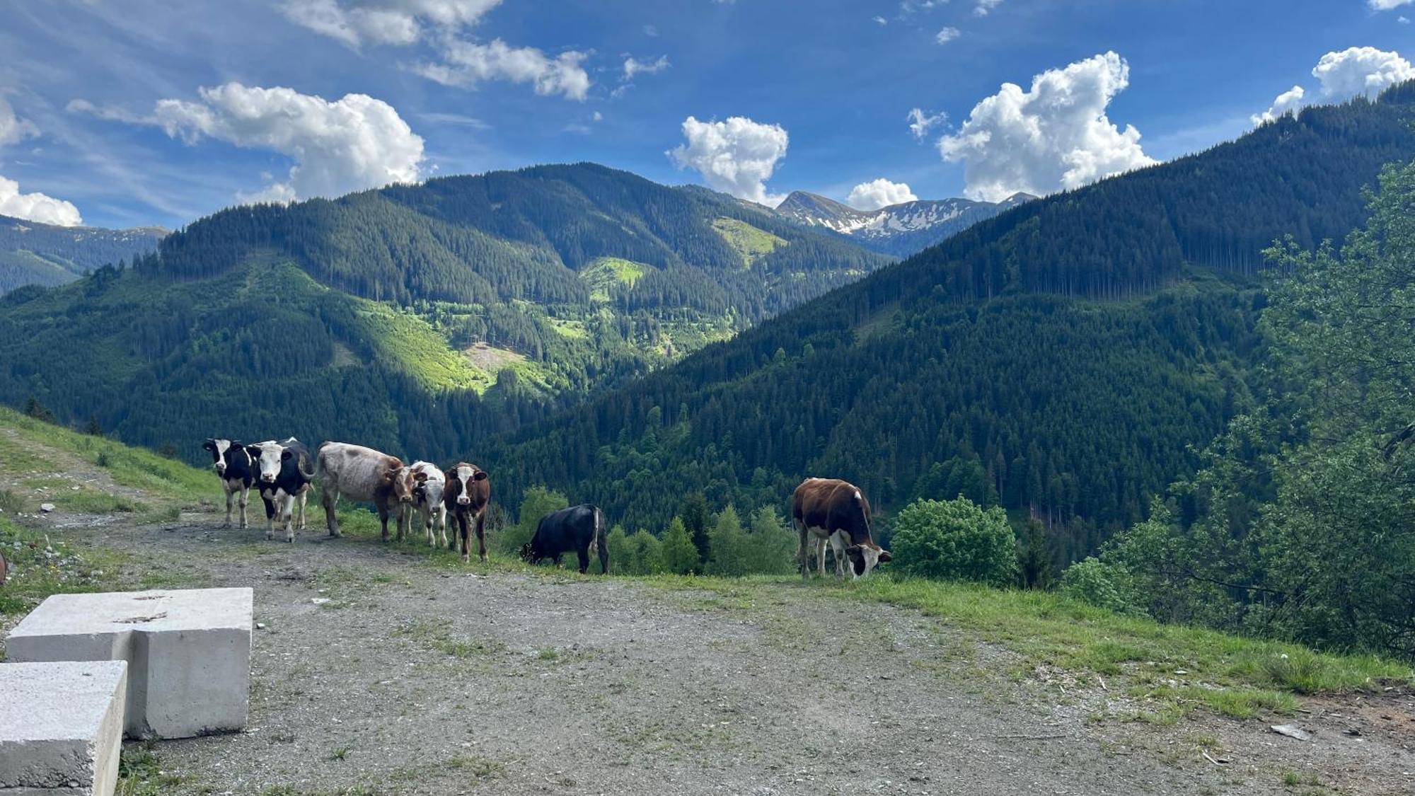 Landhaus Oberzinnegg Saalbach-Hinterglemm Esterno foto